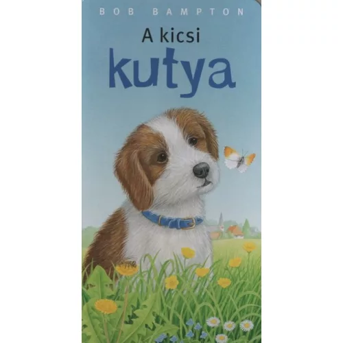 A kicsi kutya