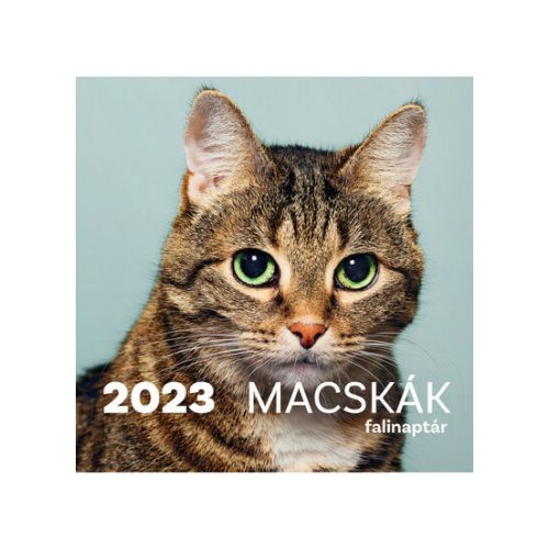 Macskák Falinaptár 2023.