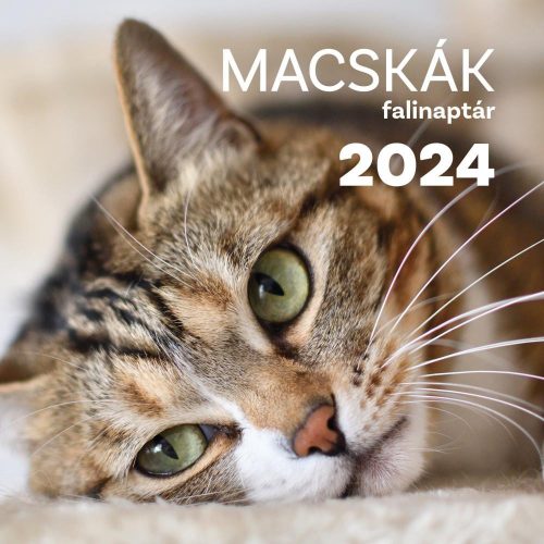 Macskák falinaptár 2024