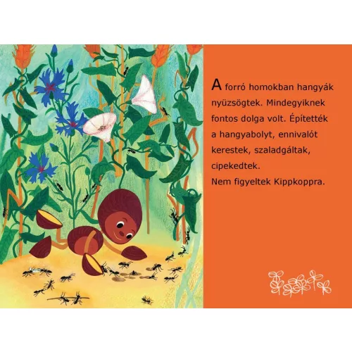 Kippkopp a fűben - Diafilm