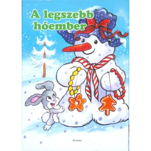 A legszebb hóember /Leporelló §K