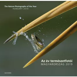 Az év természetfotói - Magyarország 2019
