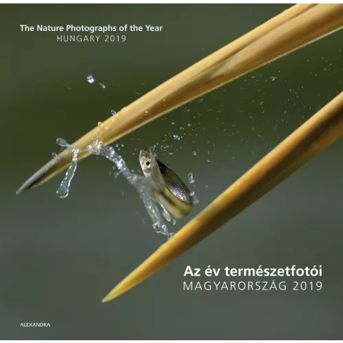 Az év természetfotói - Magyarország 2019