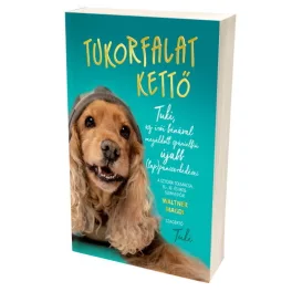 Tukorfalat Kettő