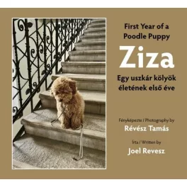 Ziza - Egy uszkár kölyök életének első éve