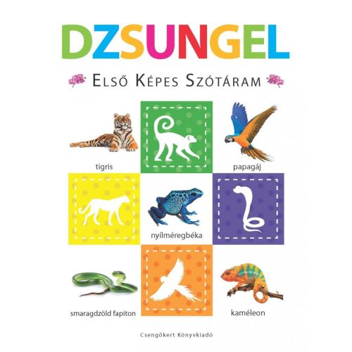 Dzsungel - Első képes szótáram - Szivacskönyv