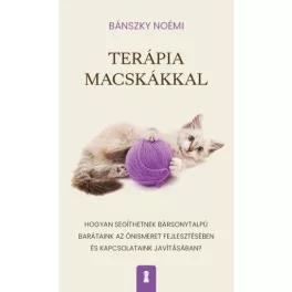   Terápia macskákkal - Hogyan segíthetnek bársonytalpú barátaink az önismeret fejlesztésében és kapcsolataink javításában?