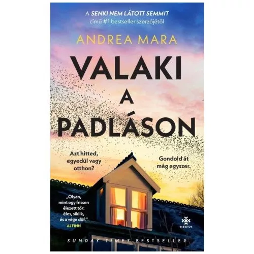 Valaki a padláson