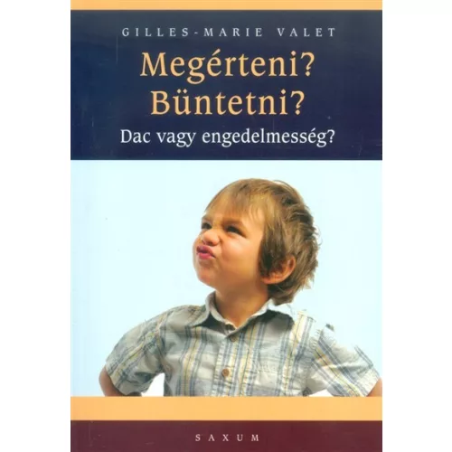 Megérteni? büntetni? /Dac vagy engedelmesség?