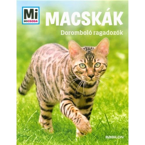 Macskák - Doromboló ragadozók /Mi Micsoda