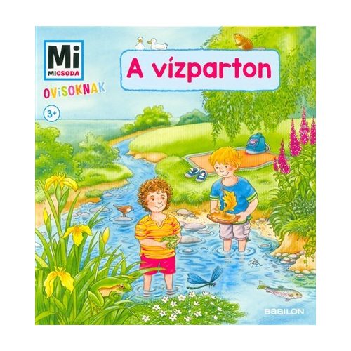 A vízparton - Mi Micsoda Ovisoknak