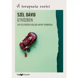   Útközben - Egy életközepi válság Skype-terápiája /A terapeuta esetei