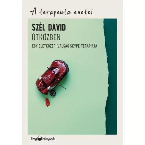 Útközben - Egy életközepi válság Skype-terápiája /A terapeuta esetei