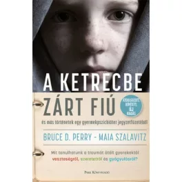   A ketrecbe zárt fiú - és más történetek egy gyerekpszichiáter jegyzetfüzetéből (2. kiadás)