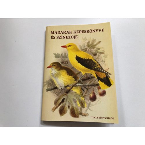 Madarak képeskönyve és színezője