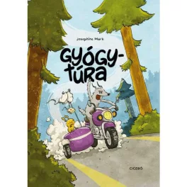 Gyógytúra (képregény)