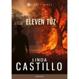 Eleven tűz - Világsikerek