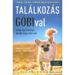   Találkozás Góbival, avagy egy kiskutya, akinek nagy szíve volt