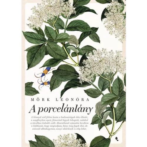 A porcelánlány (új kiadás)