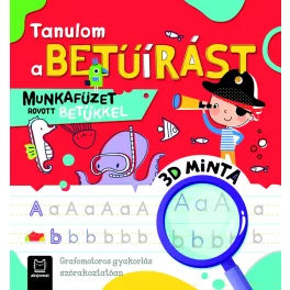 Tanulom a betűírást - Munkafüzet rovott betűkkel