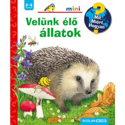 Velünk élő állatok - Mit? Miért? Hogyan? /Scolar mini