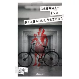Szabadulószoba - A K. É. Z. második esete