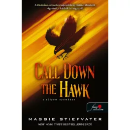   Call Down the Hawk - A sólyom nyomában - Álmodok-trilógia 1.