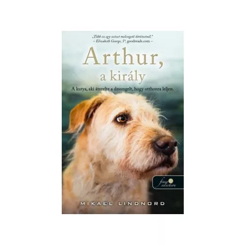 Arthur, a király - A kutya, aki átszelte a dzsungelt, hogy otthonra leljen