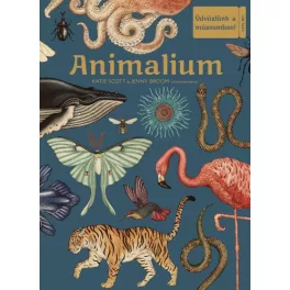 Animalium -  Üdvözlünk a múzeumban!