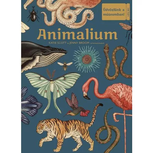 Animalium -  Üdvözlünk a múzeumban!