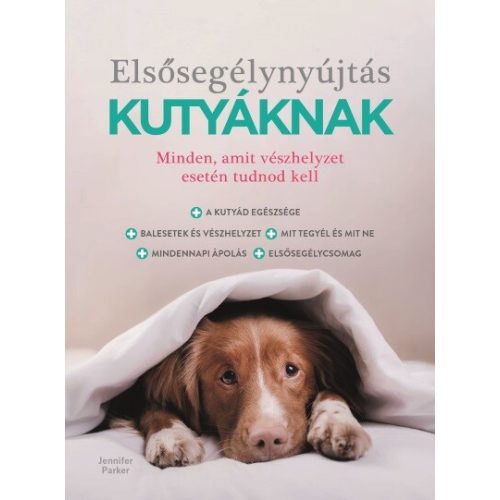 Elsősegélynyújtás kutyáknak