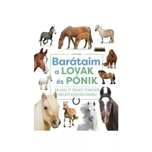 Barátaim, a lovak és pónik