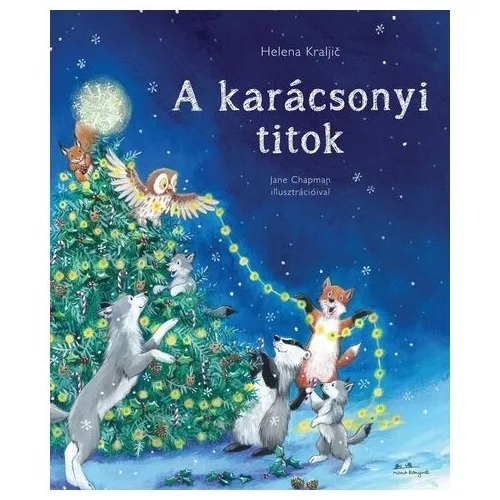 A karácsonyi titok §K