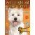 West highland white terrier - Gazdiképző kisokos /Állattartók kézikönyve