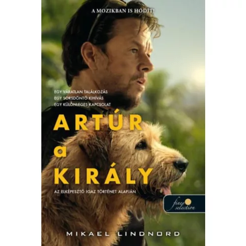 Artúr a király (filmes borító)