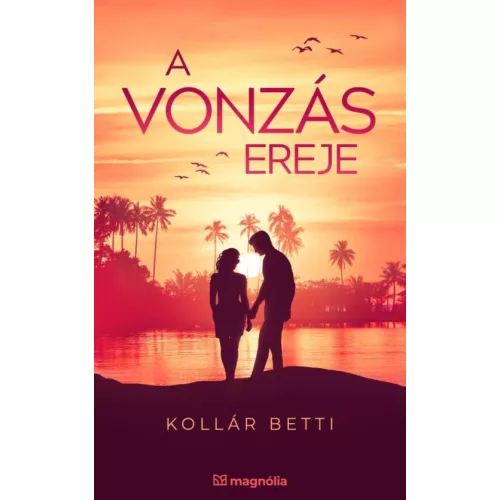 A vonzás ereje - A vonzás törvénye
