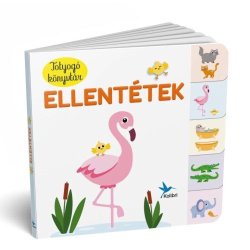 Totyogó könyvtár: Ellentétek