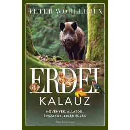   Erdei kalauz - Növények, állatok, évszakok, kirándulás (2. kiadás)