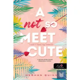 A Not So Meet Cute - A (nem is olyan) nagy találkozás