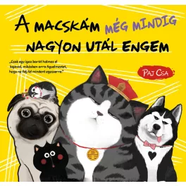   A macskám még mindig nagyon utál engem - Macska és Kutya 3.