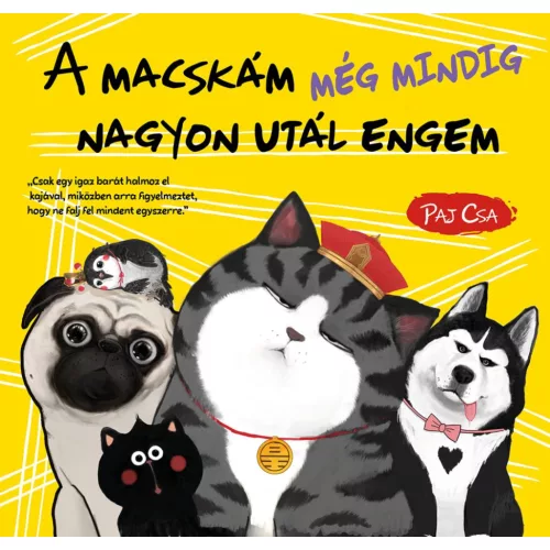A macskám még mindig nagyon utál engem - Macska és Kutya 3.