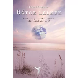   Bátor lelkek /Valóban megtervezzük születésünk előtt életünk kihívásait?
