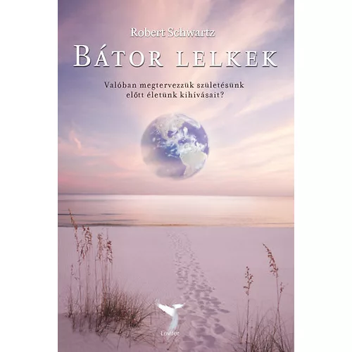 Bátor lelkek /Valóban megtervezzük születésünk előtt életünk kihívásait?