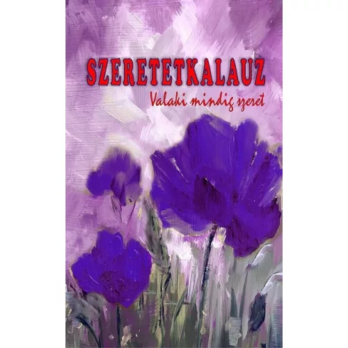 Szeretetkalauz - Valaki mindig szeret