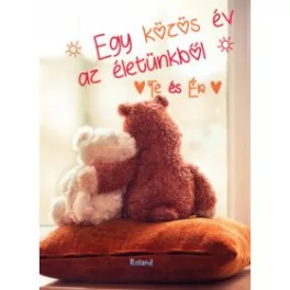   Te és Én - Egy közös év az életünkből (macis borító)