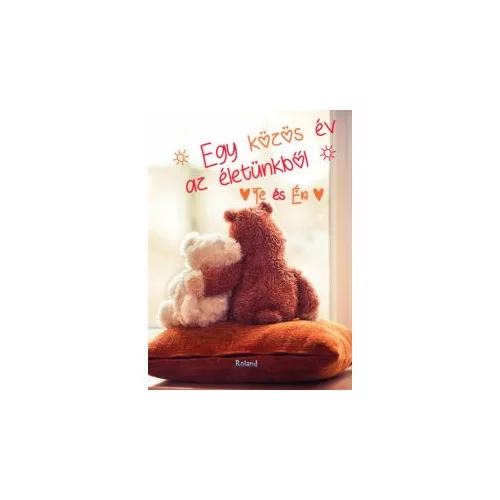 Te és Én - Egy közös év az életünkből (macis borító)